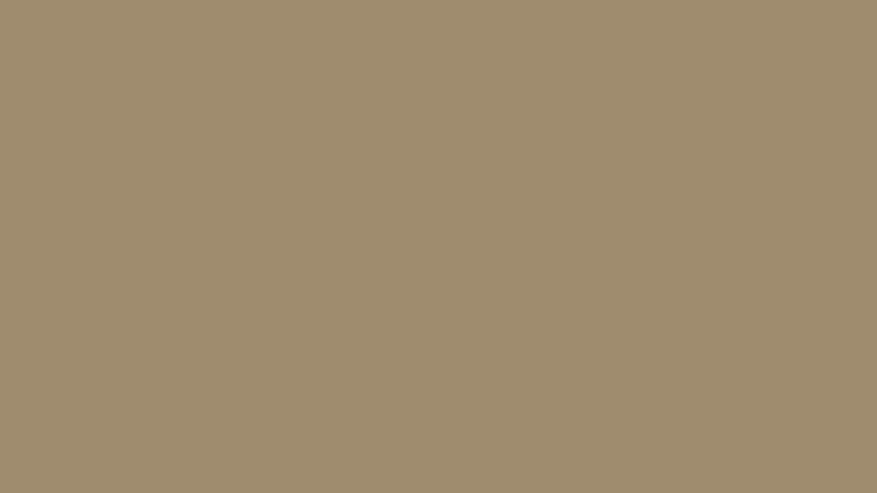 Spraydose US Army Desert Tan 33446